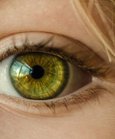 Le Centre du Regard