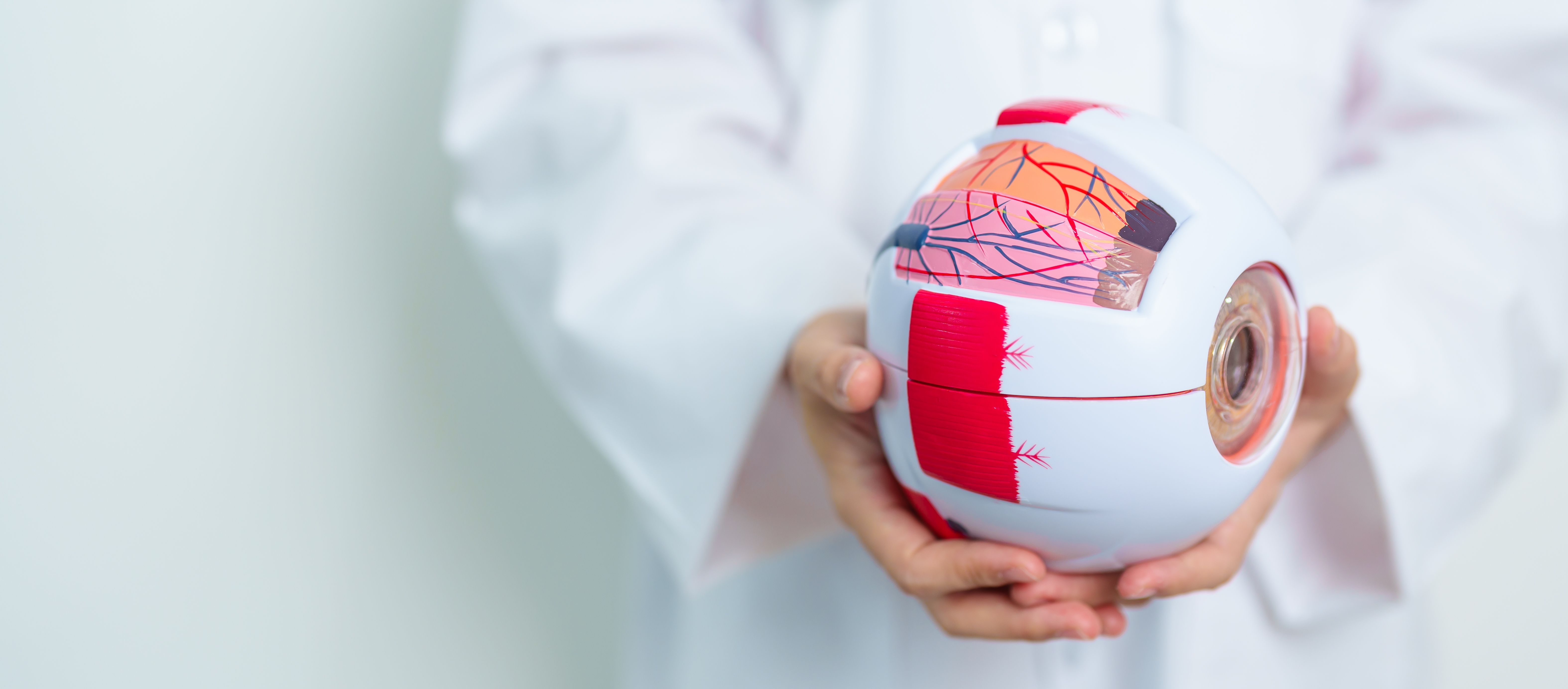 Chirurgie de la rétine à Lyon